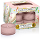 CLASSIC SCENTED TEA LIGHT RAINBOW COOKIE CLASSIC SCENTED TEA LIGHT RAINBOW COOKIE