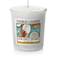 CLASSIC VOTIVE COCONUT SPLASH