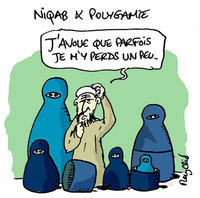 Medium jpg niqab rc 2
