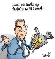 Medium balkany bfm