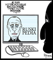 Medium ruskip dia