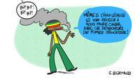 Medium cannabis2