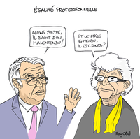 Medium rebsamen roudy rayclid bak