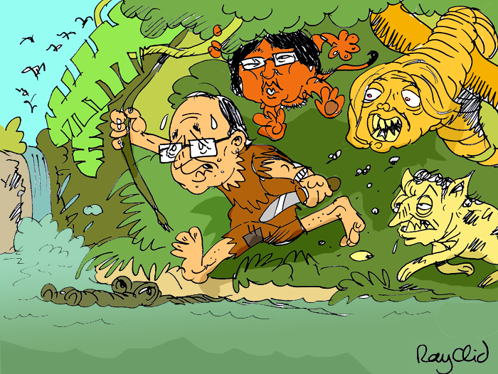 Content hollande survie rayclid