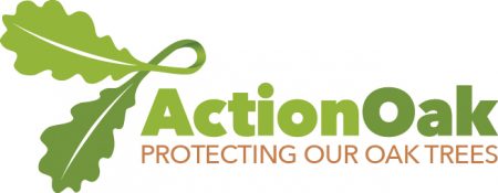 Action Oak