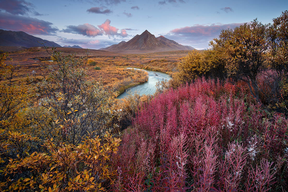 In Yukon Territory