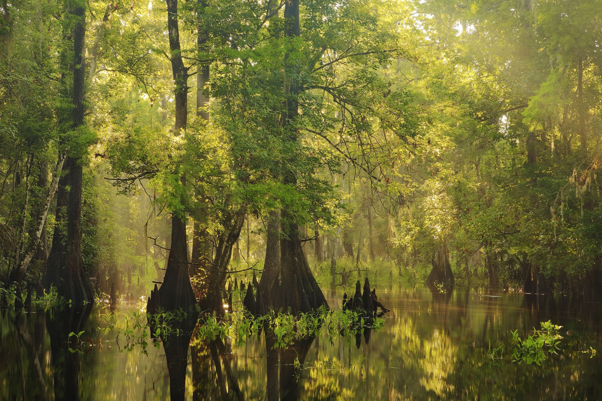 Call for entries into International Garden Photographer of the Year Competition 12