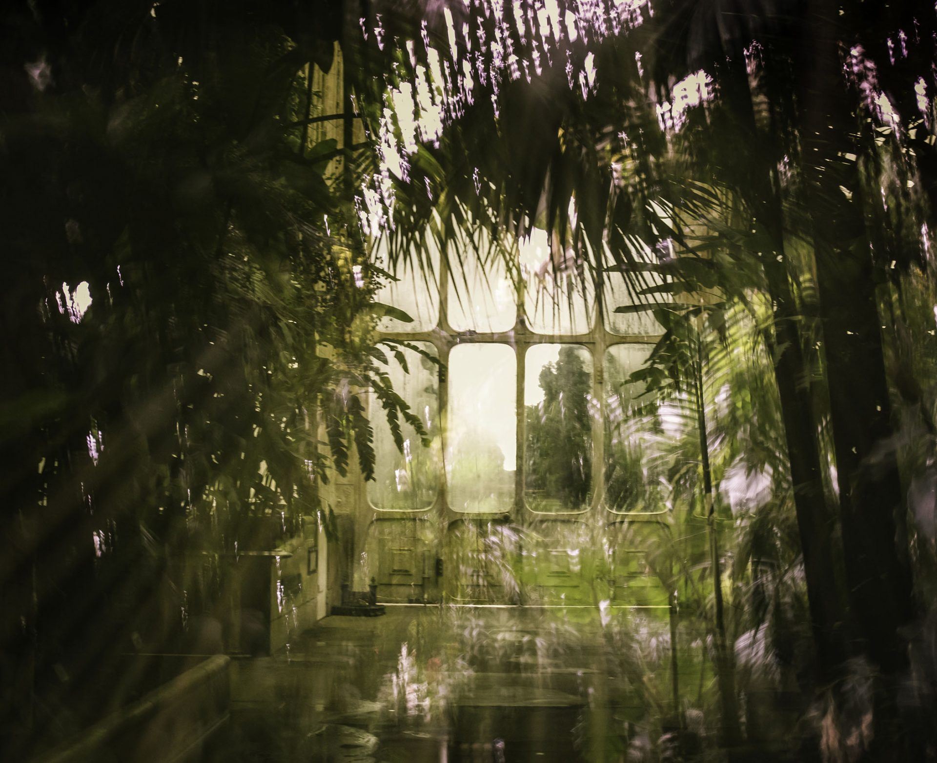 Discover the Majesty of Nature's Garden