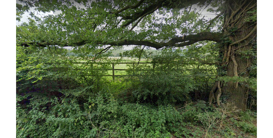 Capel Road , Horsham, West Sussex, RH12 4PZ