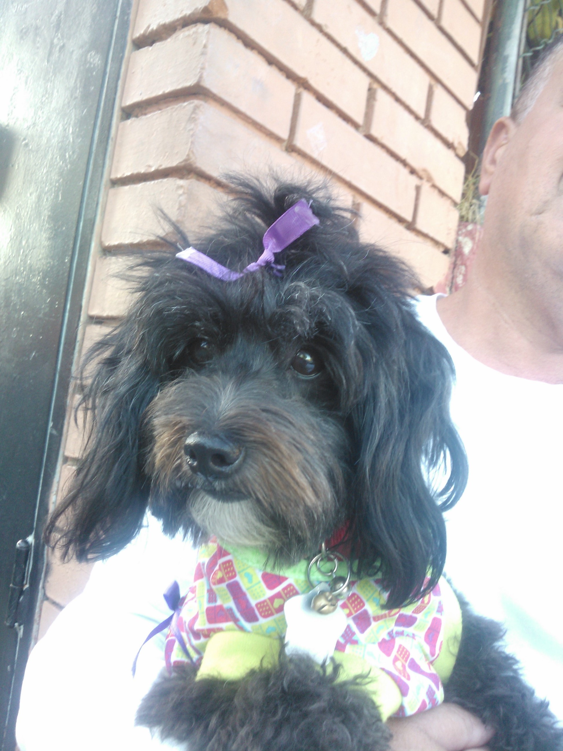 Buenos Dias Quiero Cruzar A Chenoa Cual Es El Momento