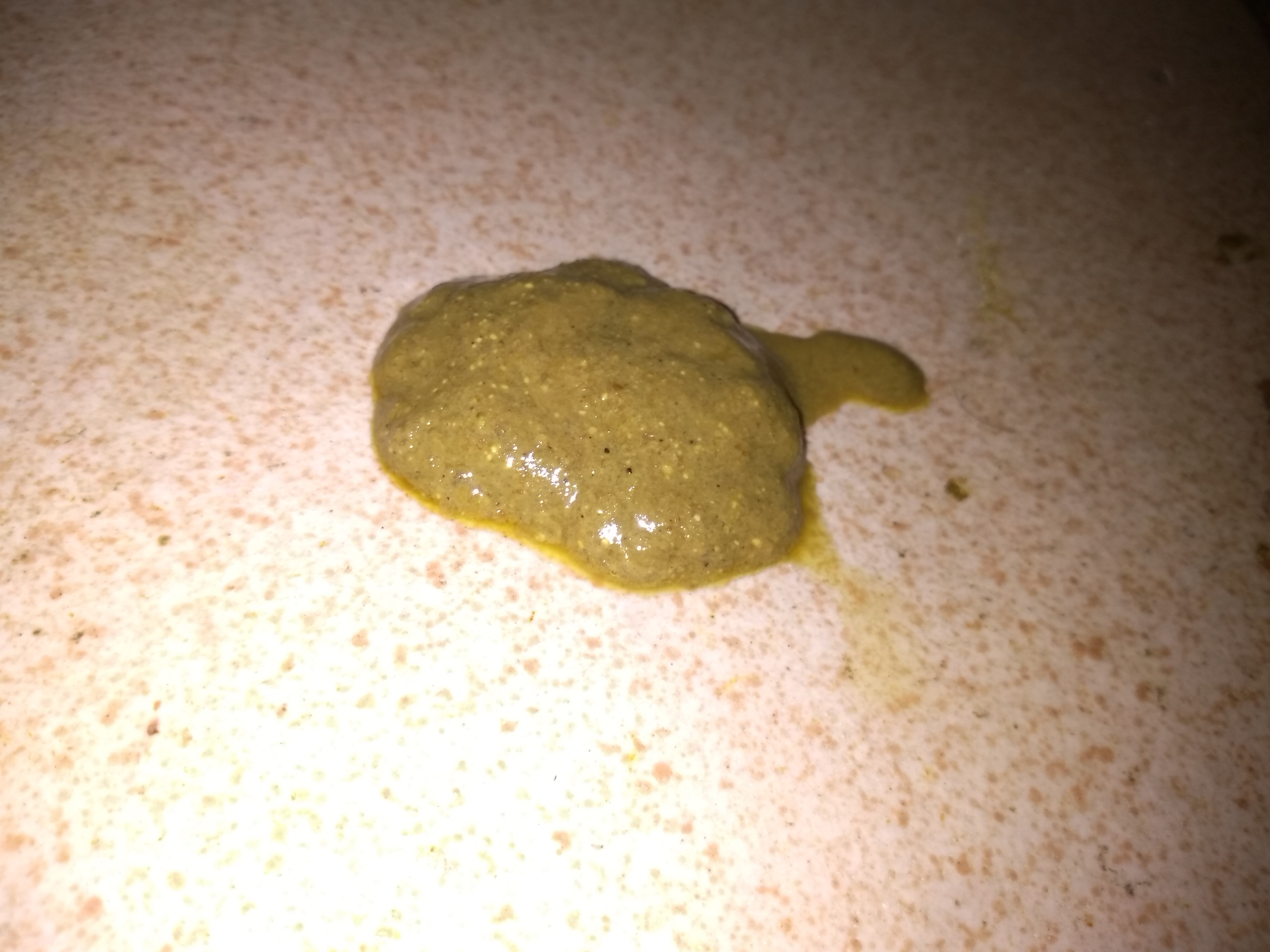 Gato com diarreia e vomito Clearance