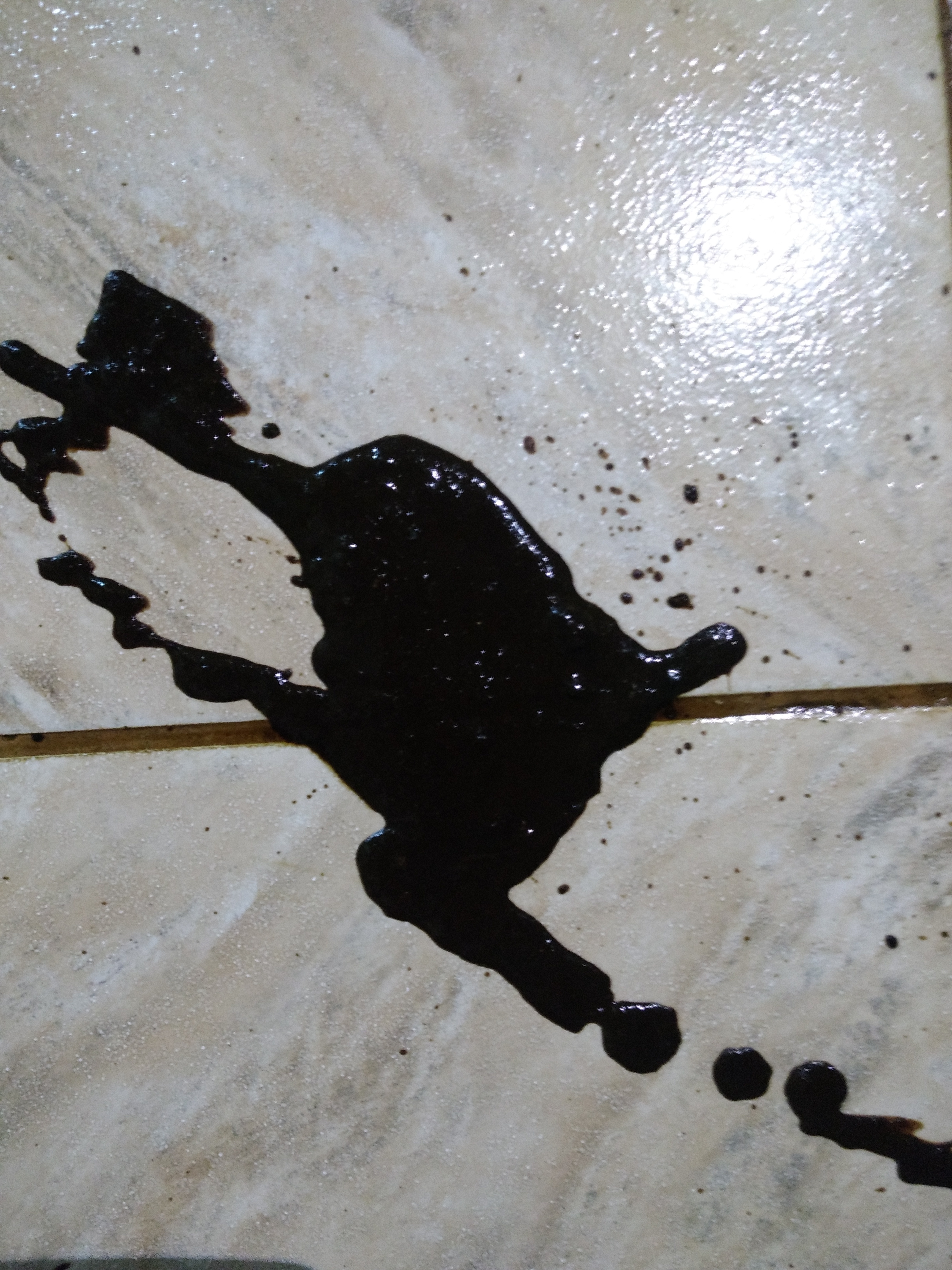 Cachorro com fezes preta e mole clearance