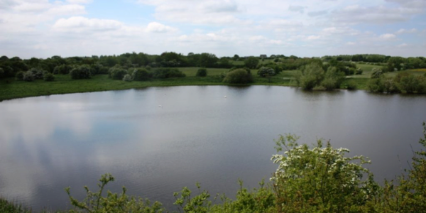 Lancashire WT – Abram Flash