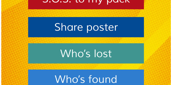 How to use the Lost Pet Alert