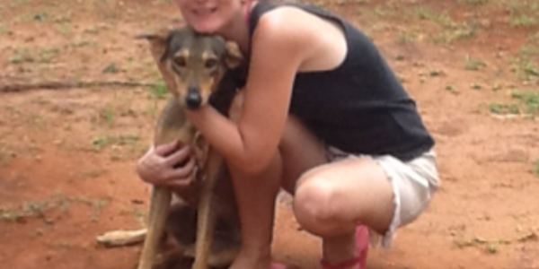 Dogs of my travels