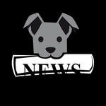 How to post on The Daily Bark How to post on The Daily Bark