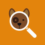 How to use Lost & Found How to use Lost & Found