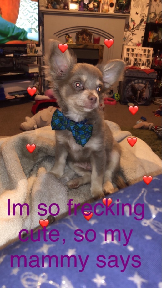 102670