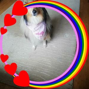 P