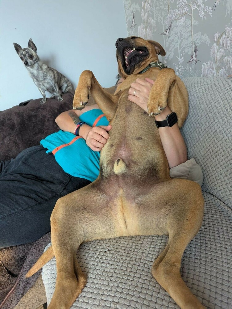 P