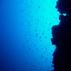Gioia Dive
