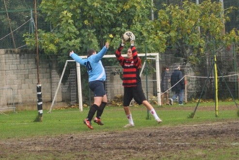 Calcio integrato