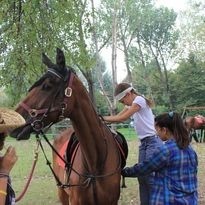 Battesimo della sella: nuova…