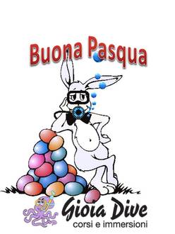 Sorpresa di Pasqua