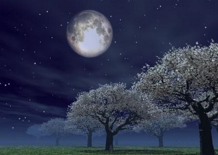 Notte di inverno in Cascina…