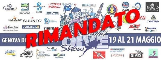 RIMANDATO - Dive Show