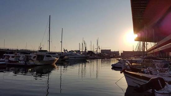 Immersioni a Genova e Portofino