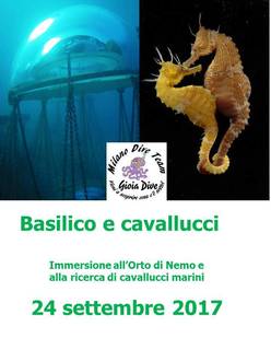 basilico e cavallucci