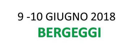 BERGEGGI