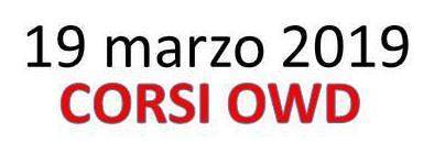 CORSI OWD