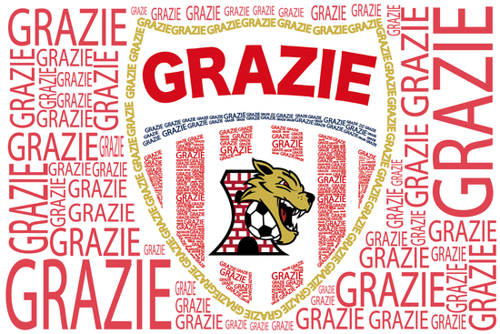 GRAZIE PER IL TEMPO DEDICATO ....
