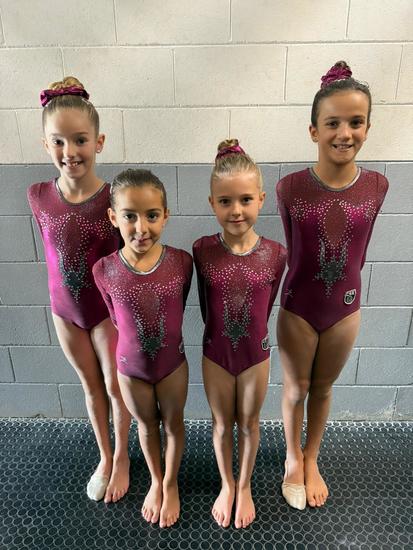 GOLD Piccole 2026/2027