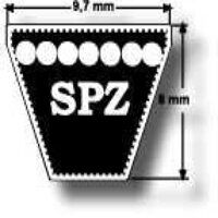 DUNLOP BB117 Replacement Belt