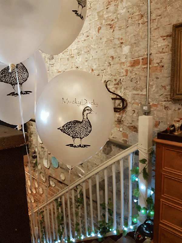 mucky ducky balloons displayed image 1