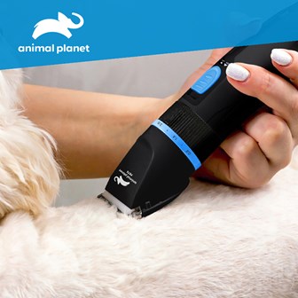 Animal Planet Animal Planet