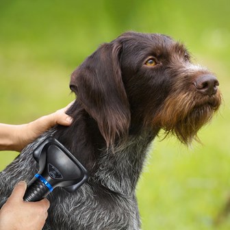 Pet Care Pet Care