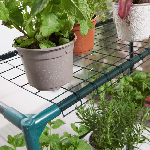 Walk In PVC Plastic Garden Greenhouse W/ 4 Shelves Walk In PVC Plastic Garden Greenhouse W/ 4 Shelves