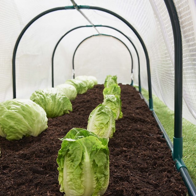 4 Section Grow Tunnel Greenhouse 4 Section Grow Tunnel Greenhouse