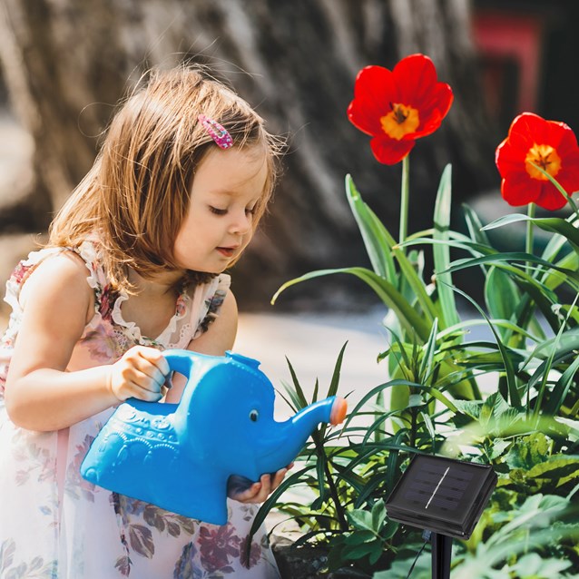 2PK - 100 LED Solar String Lights - Bright White 2PK - 100 LED Solar String Lights - Bright White