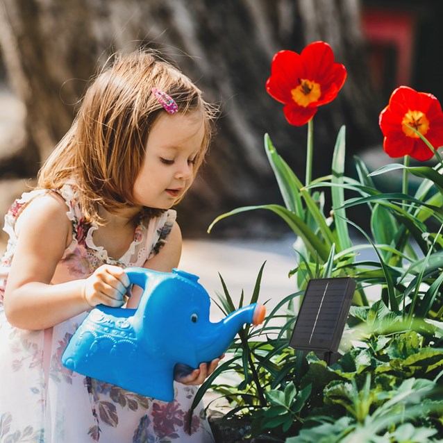 200 LED Solar String Lights - Multicolour 200 LED Solar String Lights - Multicolour