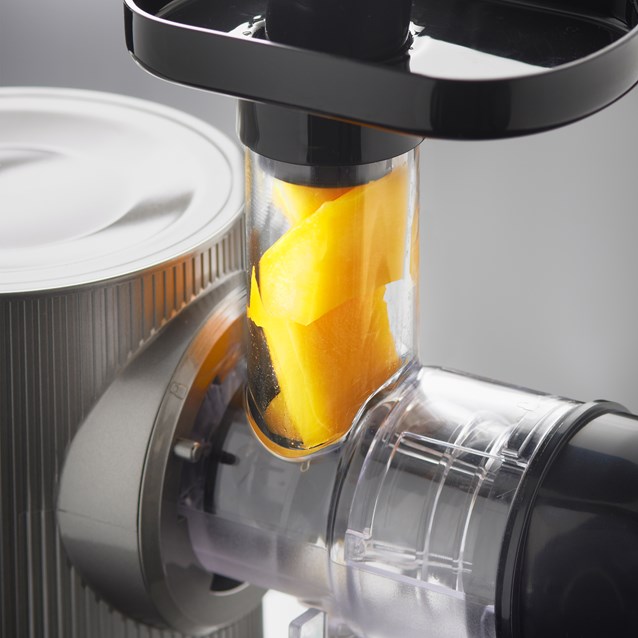 Slow Masticating Juicer Grey Slow Masticating Juicer Grey