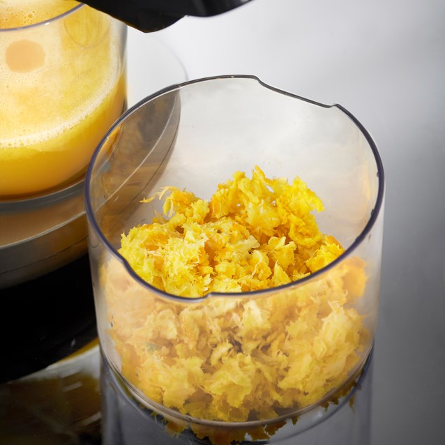 Slow Masticating Juicer Grey Slow Masticating Juicer Grey