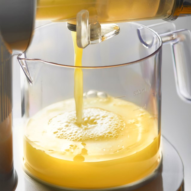 Slow Masticating Juicer Grey Slow Masticating Juicer Grey