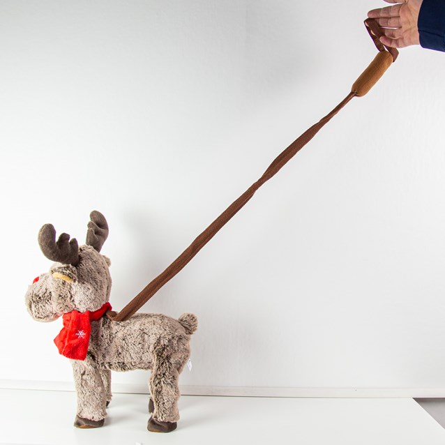 Walking Reindeer With Christmas Music Walking Reindeer With Christmas Music