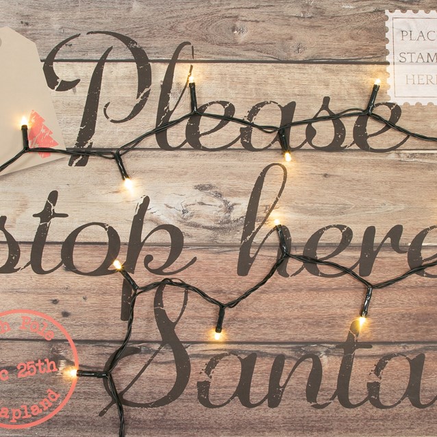 50 LED Battery Op Timer Lights - Warm White 50 LED Battery Op Timer Lights - Warm White