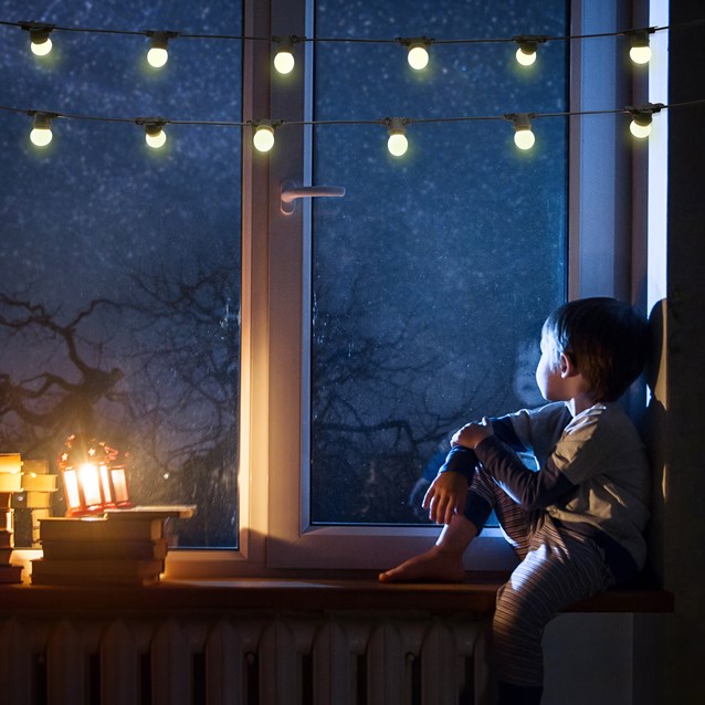 6M E27 Bulb Festoon Lights -20 Sockets -Warm White 6M E27 Bulb Festoon Lights -20 Sockets -Warm White